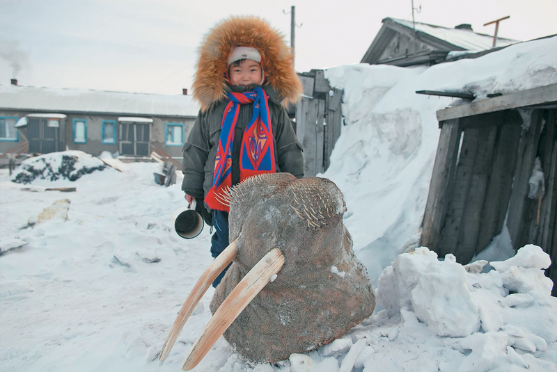 Запас мяса хранится зимой в обычных сараях. Морозы на Чукотке настолько сильные, что потребность в холодильниках просто-напросто отсутствует. фото: Вегард Ульванг.