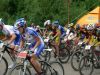 FOCUS CUP ������ 16 ��� � �����
