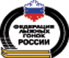 Лыжи. Потерялись рулевые
