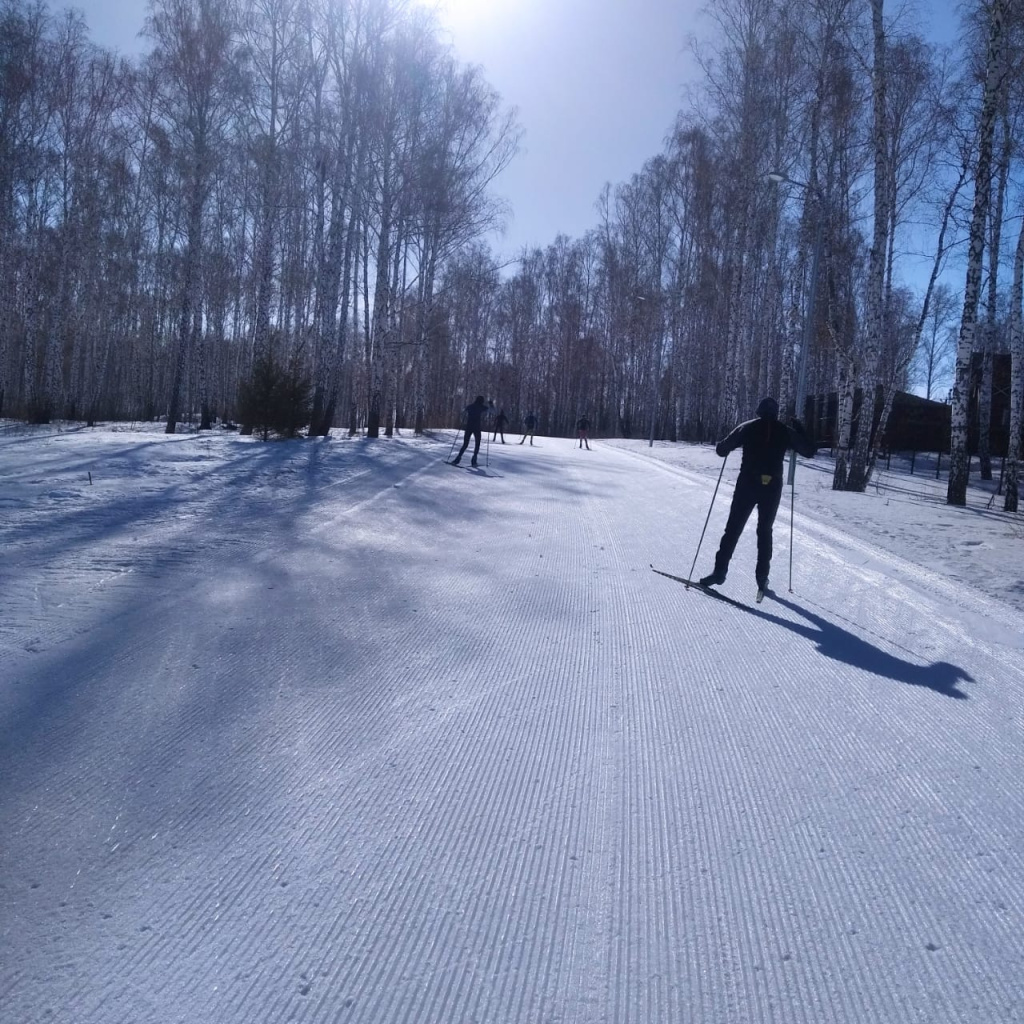 Лыжная трасса «Карпов пруд».
