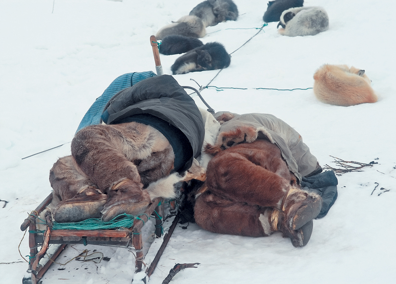 «Проснувшись с утра, мы увидели картину: наши сопровождающие спят на нартах немного занесенные снегом, рядом в сугробах<br />
свернулись собаки. То есть чукчи — настоящие привычные охотники, для которых ничего страшного — провести ночь под звездами». фото: Вегард Ульванг.
