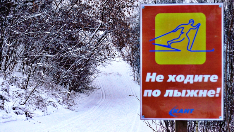 Никитич осторожно выглянул из чащи лыжни. Табличка лыжная трасса. Указатели на лыжной трассе. Таблички для лыжной трассы. Таблички для лыжных трасс.