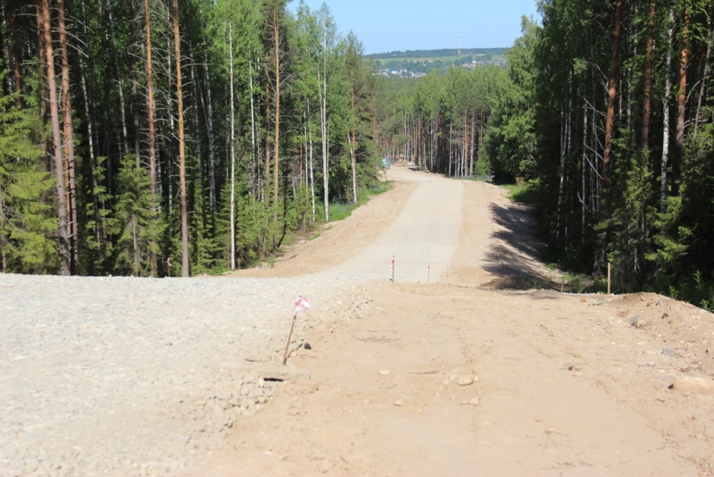 Малиновка лыжероллерная трасса