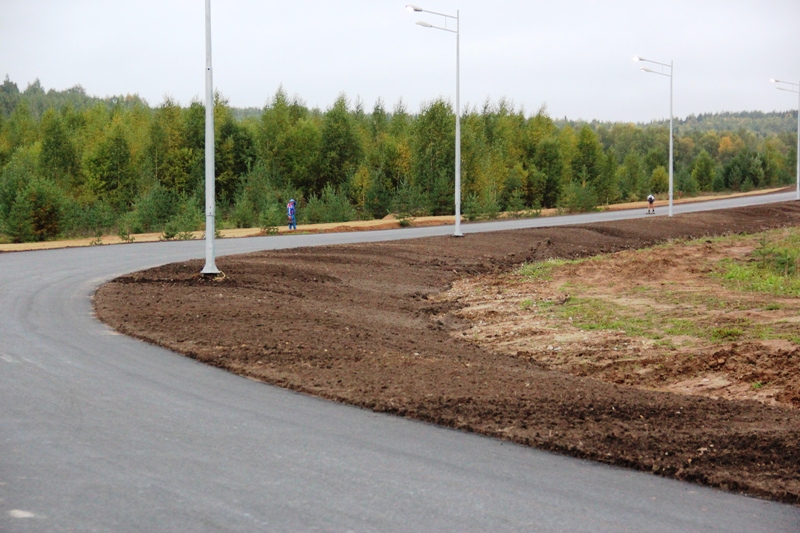 Лыжероллерная трасса в Можайске