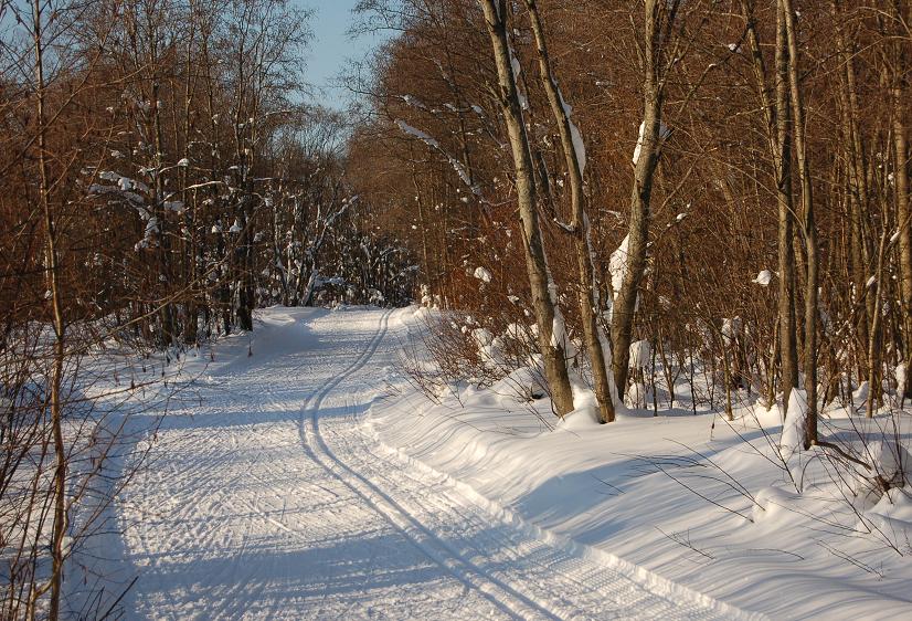 Лыжня в полежаевском парке