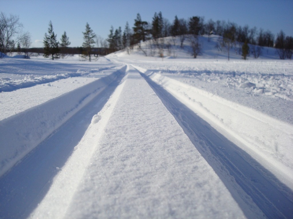 Эх, лыжня!!! А пока +38 и дымок в столице