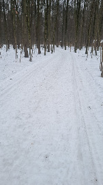 Подъём от болота, пасека с права, классические петли с лева