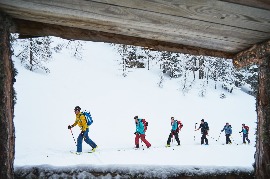 Transalp-2018