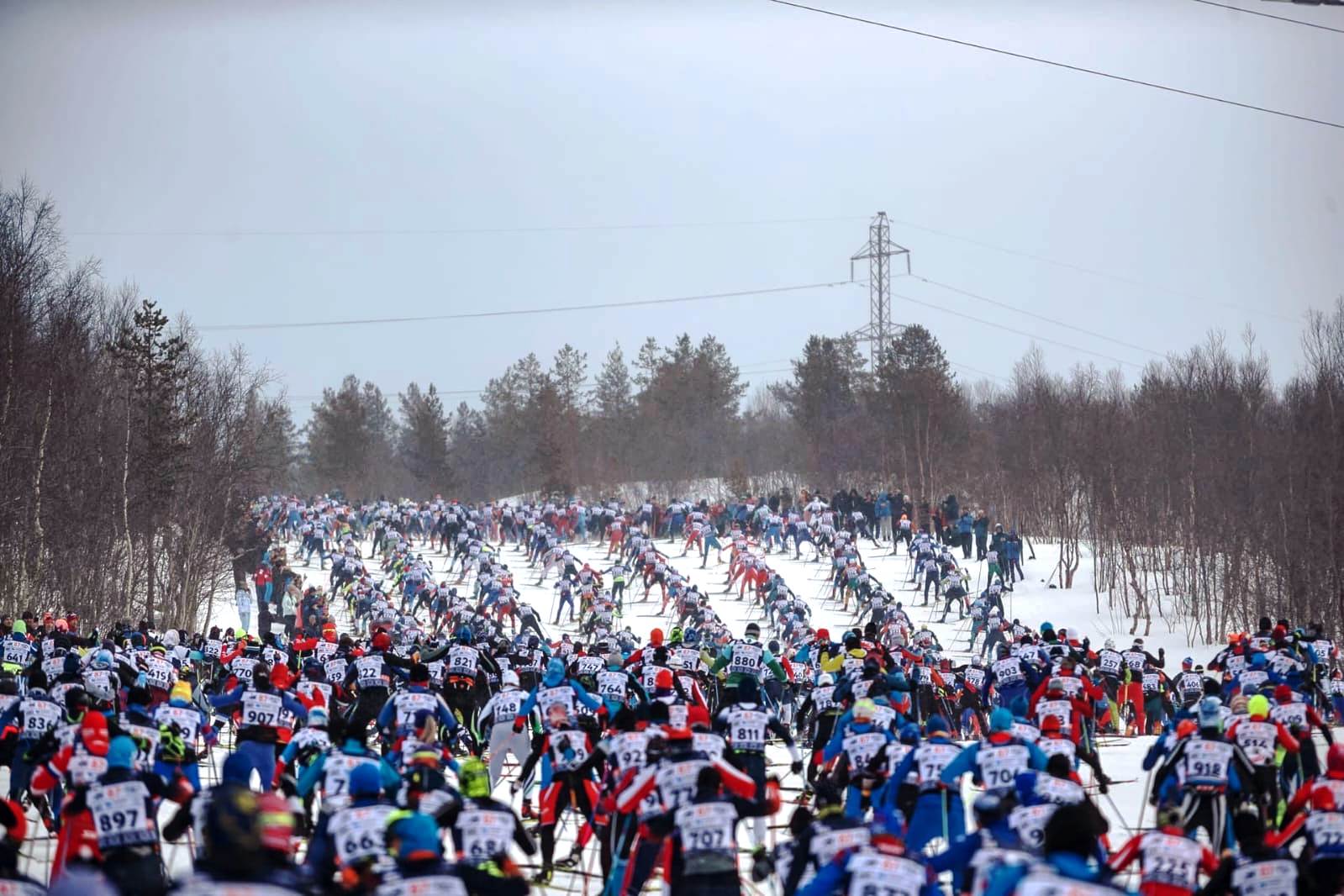 Мурманский марафон 2024 лыжный. Праздник севера 2024. Праздник севера 2024 Мурманск. Юбилейный праздник севера 2024.