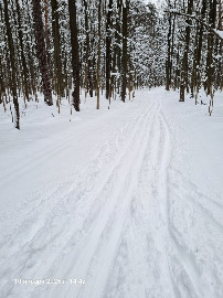 Самотоп за пасекой