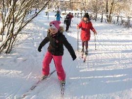 Менделеевская школа