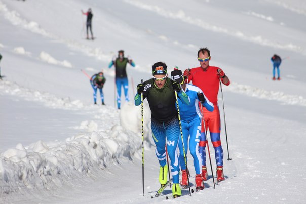 Рисунок: http://www.skisport.ru/upload/iblock/0e4/0e4a388cd3b3c171b9a813b4ee4b1c2b.jpg
