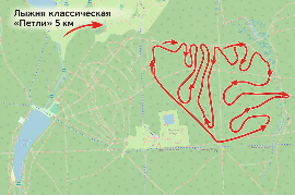 Лыжня классическая 5км.