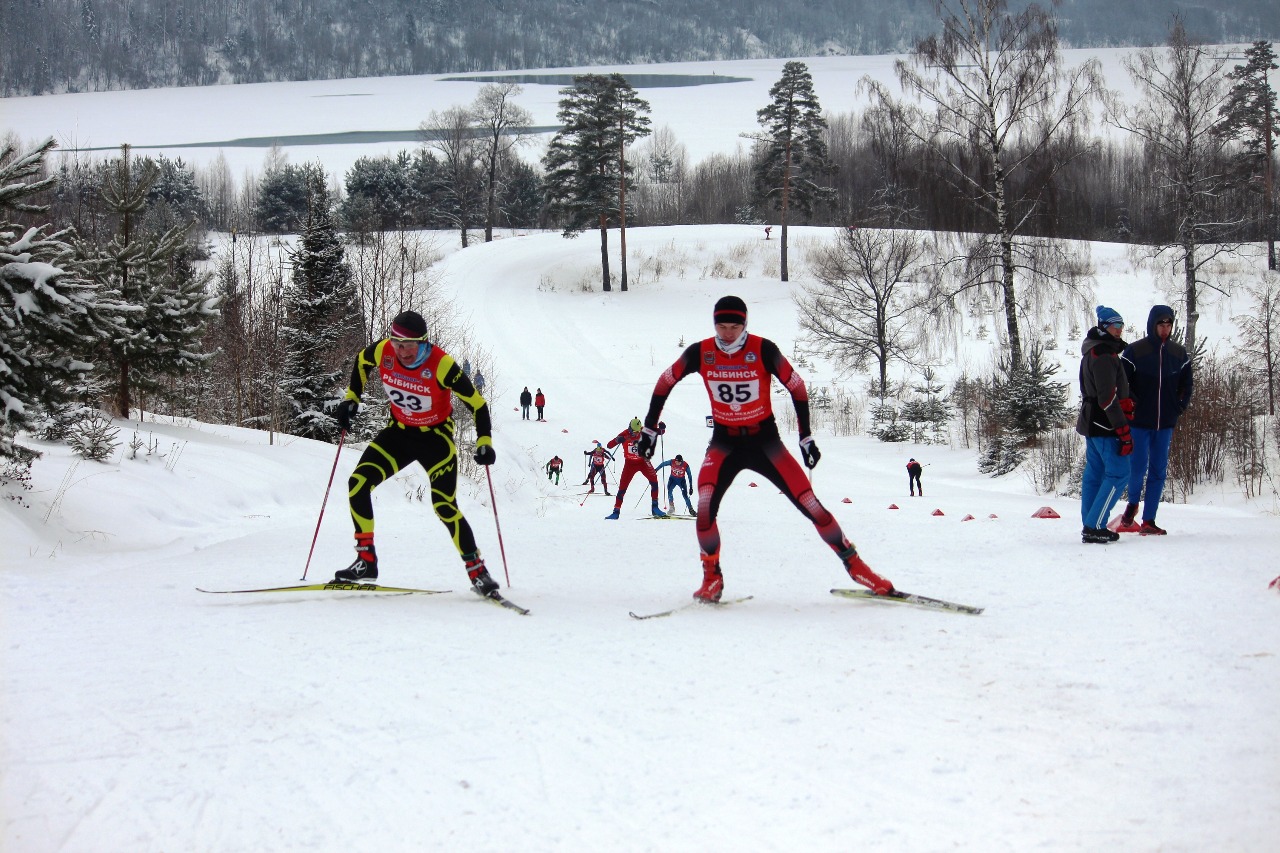 Максим Зубцов (Истина, Московская область).