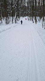За пасекой от Лебедянского.., перед Совиным ручьём