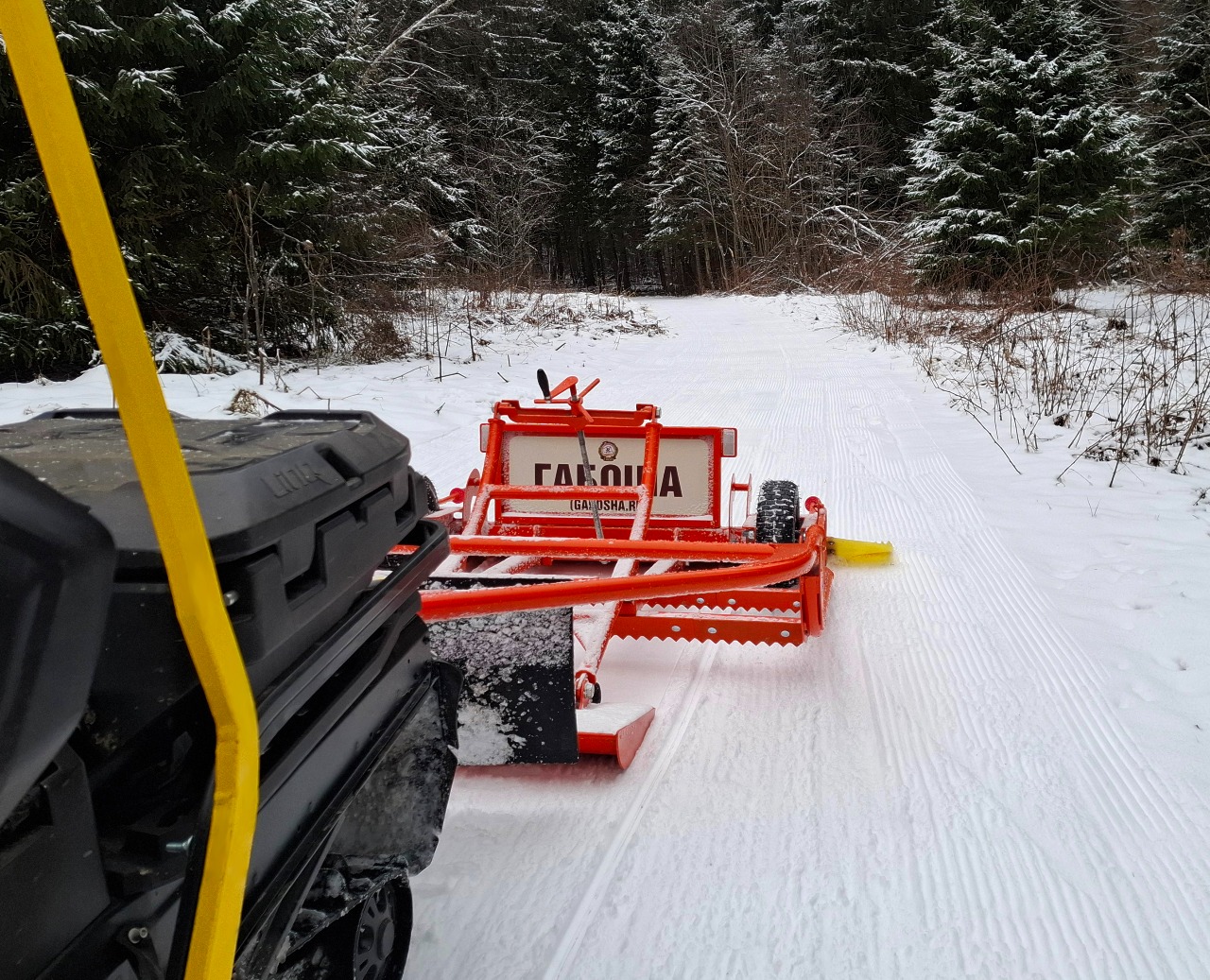 Мария Поселова Габоша в работе. Лыжная трасса в ГАБО. Декабрь 2025.