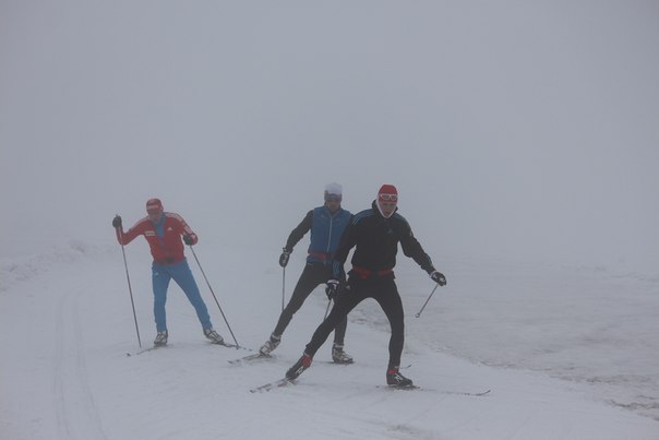 Рисунок: http://www.skisport.ru/upload/iblock/175/175838bd968e2525d7eda4be98182ff2.jpg