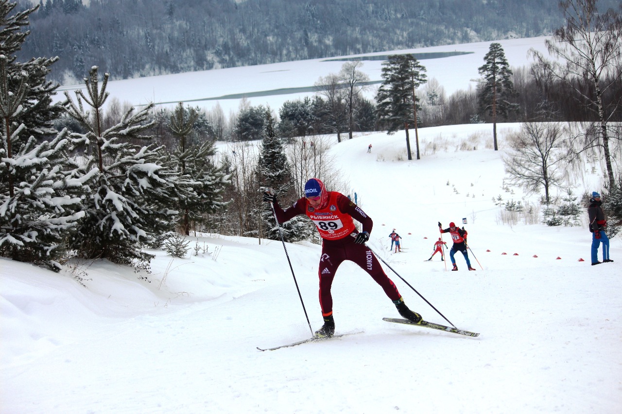 Дмитрий Ростовцев.