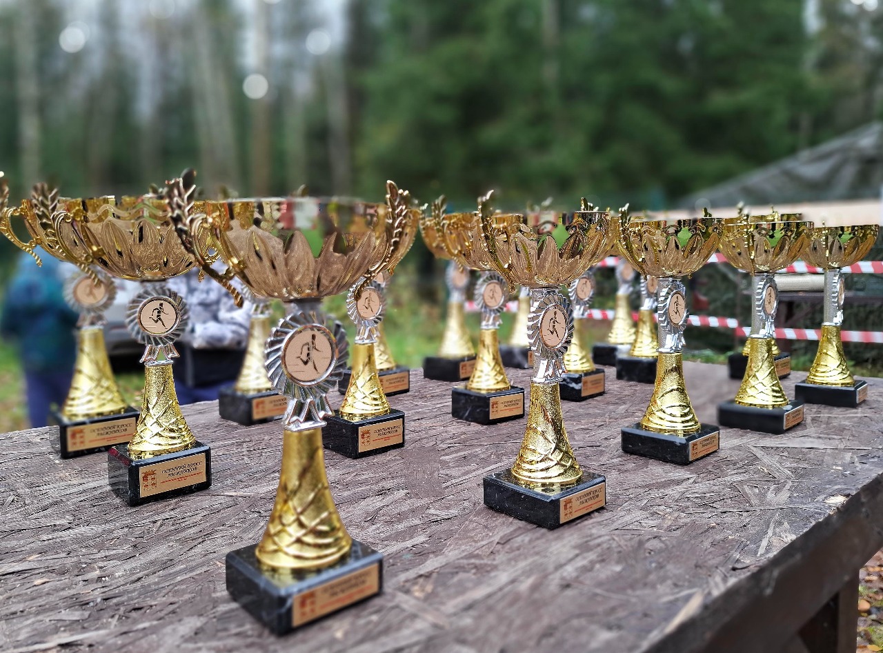 Награды и призы.