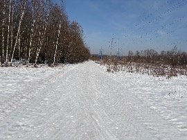 Фото трассы АМ 2026 21.03 в 14.00