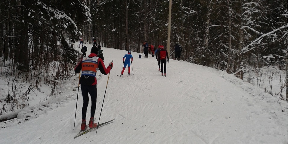 Рисунок: http://www.skisport.ru/upload/iblock/245/24528f2eb64e6b3f3420f4b49b327e78.jpg
