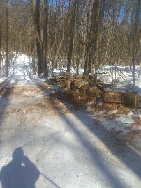 Аннинская пятерка.. Опилки на трассе