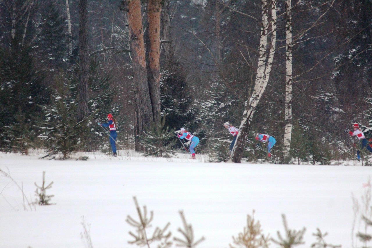 Все равнинную, слабопересеченную часть дистанции лидировала команда Ярославской области.