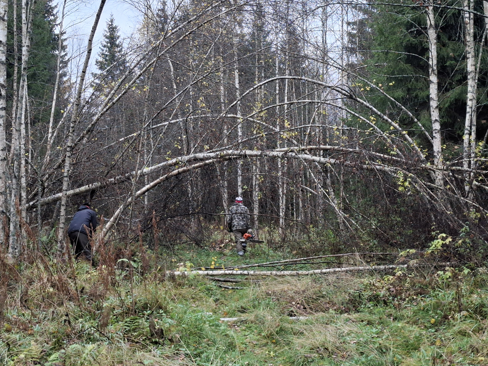 Работы на трассе "Турист". Октябрь 2025.
