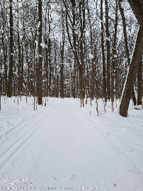 Пятерка, пасека с лева.