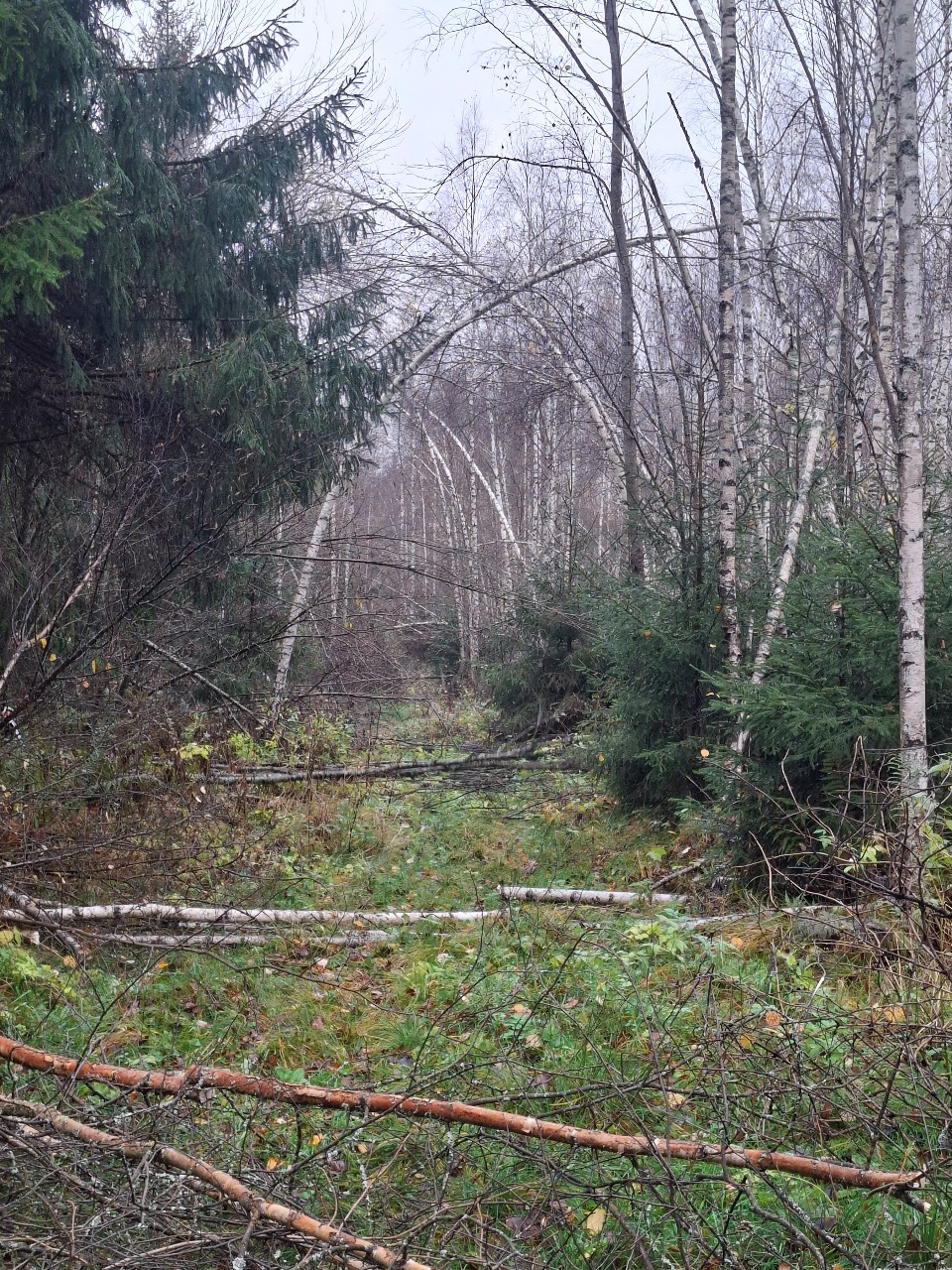 Трасса "Турист". Октябрь 2025.