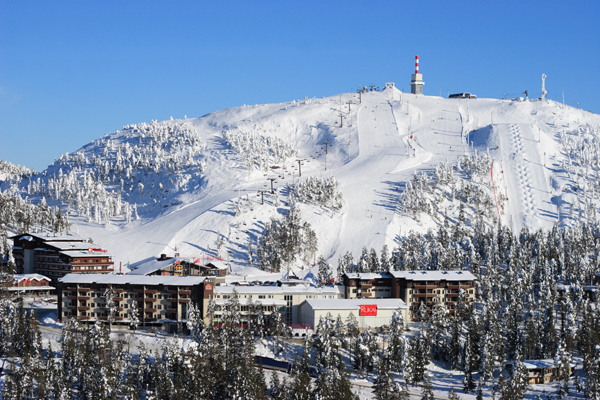 Рисунок: http://www.skisport.ru/upload/iblock/317/317e298531d6b8205342c13b210064a5.jpg