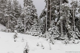 После снегопада