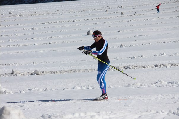 Рисунок: http://www.skisport.ru/upload/iblock/3e0/3e01c19d4f4abf046f549a29ed100cd0.jpg