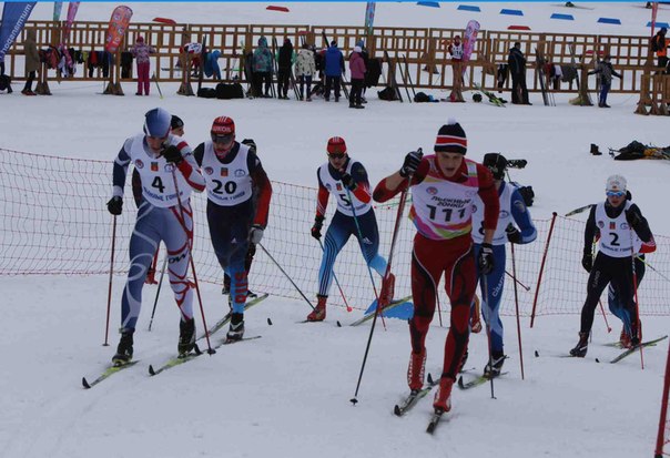 Рисунок: http://www.skisport.ru/upload/iblock/447/4472b994e6a4a72cd9a72b795ad091ea.jpg