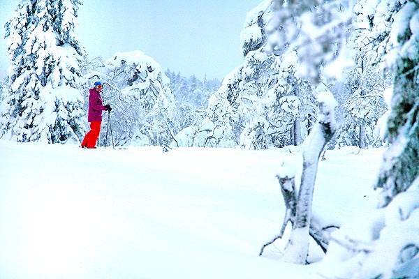 Рисунок: http://www.skisport.ru/upload/iblock/451/45164c501c7f83dcf140cce04fd198a8.jpg