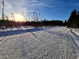 овка трассы 19.03.202
