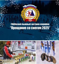 Прощание со снего анонс