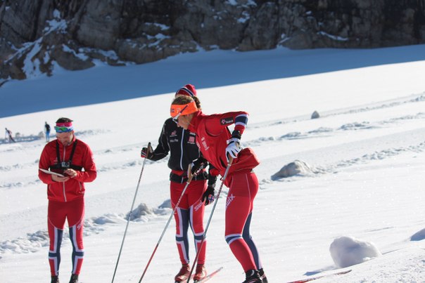 Рисунок: http://www.skisport.ru/upload/iblock/4ce/4ce4599f1e3227ad9333c5bf10ab0d92.jpg