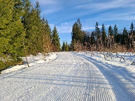 Подготовка трассы 19.03.202