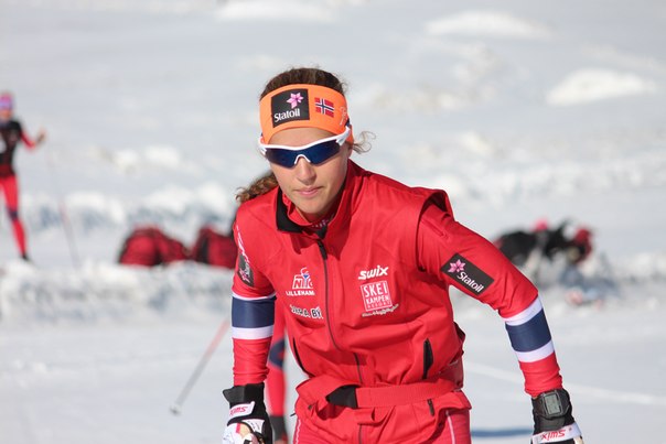 Рисунок: http://www.skisport.ru/upload/iblock/4ff/4ff77d520863086d006221bd2e25b247.jpg