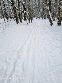 Кусково - самотоп.