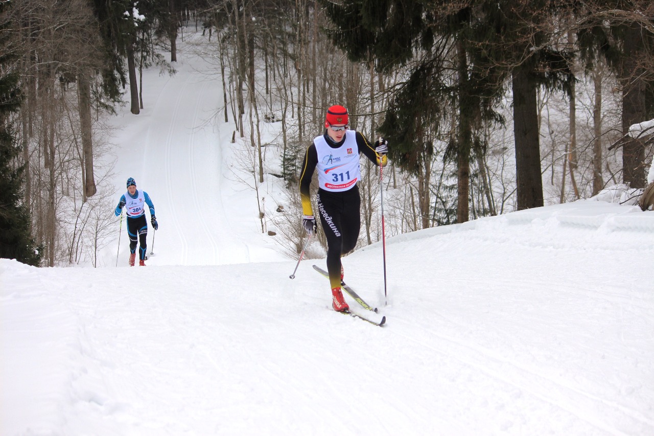 Алексей Адров.