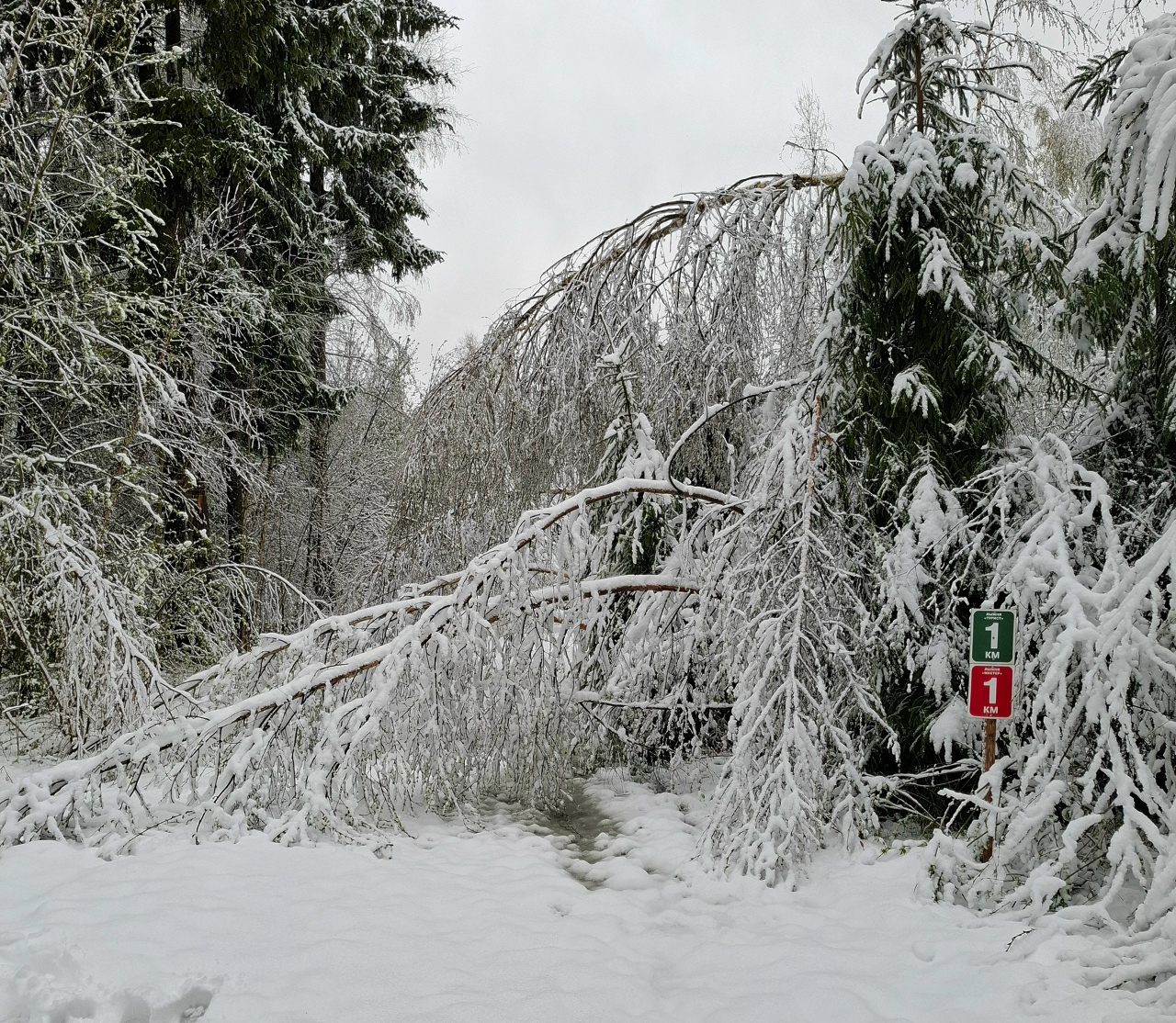 ГАБО. 2 мая 2025.