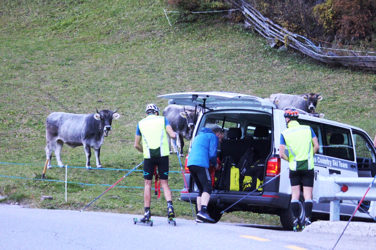 Небольшая передышка перед следующей серией ускорений. И как всегда любопытные альпийские коровы рядом.