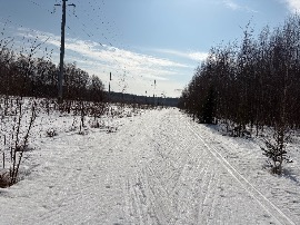Фото трассы АМ -2026 21 марта в 14 часов