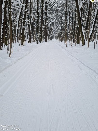 За пасекой...