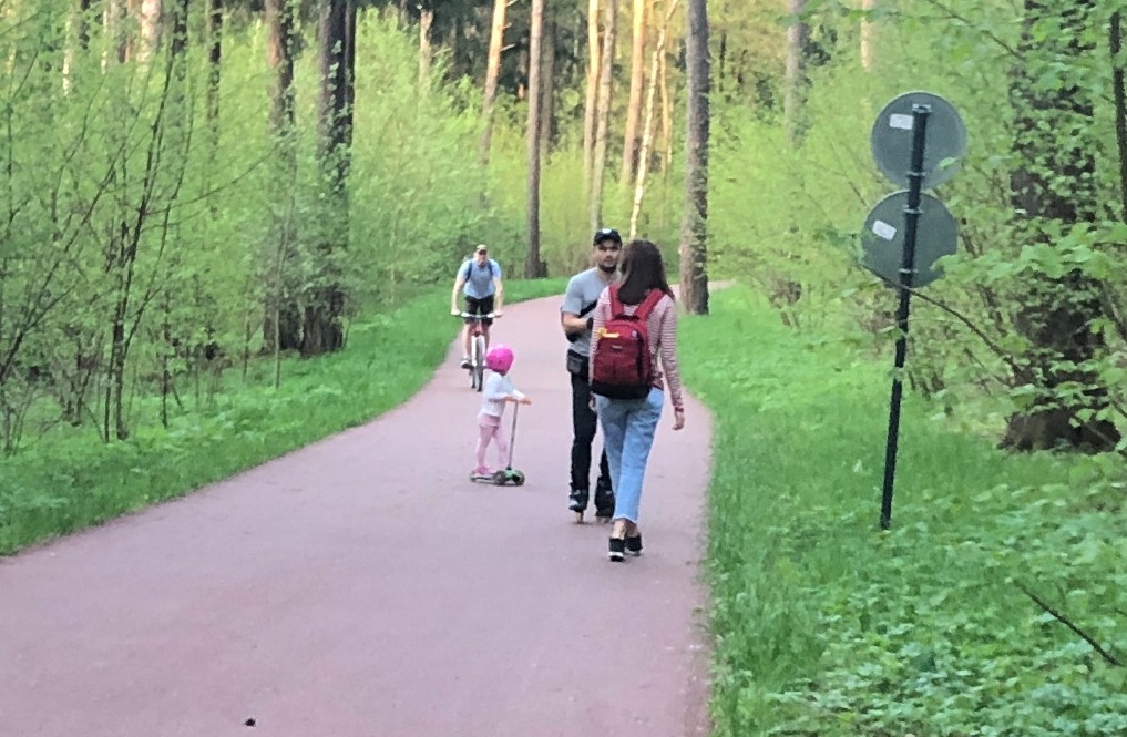 Мещерский парк беговые лыжи