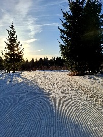 овка трассы 19.03.202