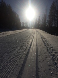 Лыжная трасса для тренировок
