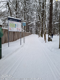 За пасекой...